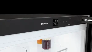KFN 4795 AD Blacksteeltür
